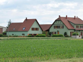 Gîte lumineux et calme avec terrasse, barbecue et parking à 5 km de Colmar - FR-1-744-32